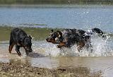 BEAUCERON 675